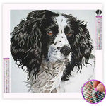 Broderie Diamant Épagneul - Vignette | My Diamond Painting