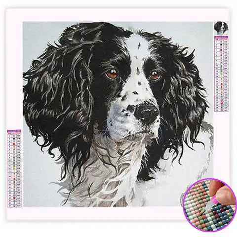 Broderie Diamant Épagneul | My Diamond Painting