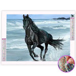 Broderie Diamant Étalon Noir - Vignette | My Diamond Painting