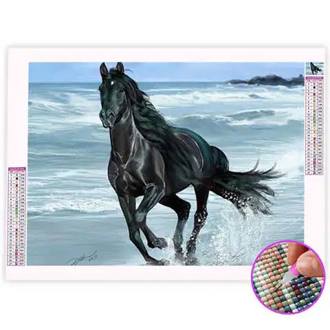 Broderie Diamant Étalon Noir | My Diamond Painting