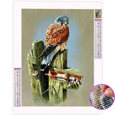 Broderie Diamant Faucon Crécerelle | My Diamond Painting
