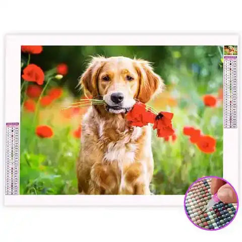 Broderie Diamant Golden Retriever | My Diamond Painting