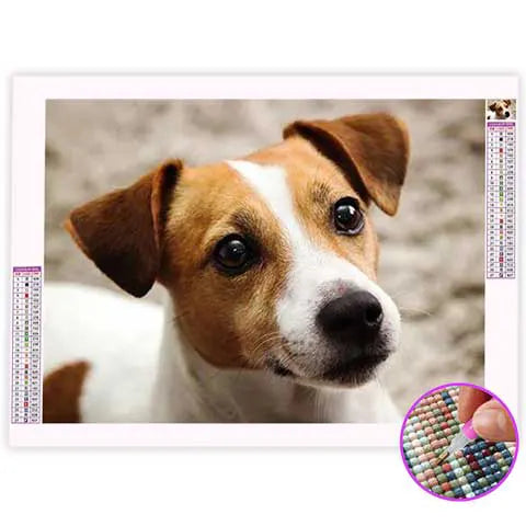 Broderie Diamant Jack Russel | My Diamond Painting