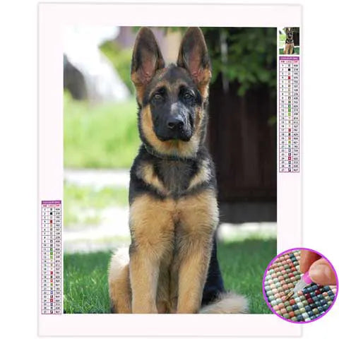 Broderie Diamant Malinois | My Diamond Painting