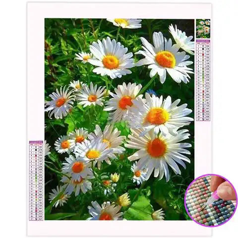 Broderie Diamant Marguerite | My Diamond Painting