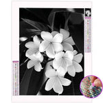 Broderie Diamant Noir et Blanc Fleurs - Vignette | My Diamond Painting