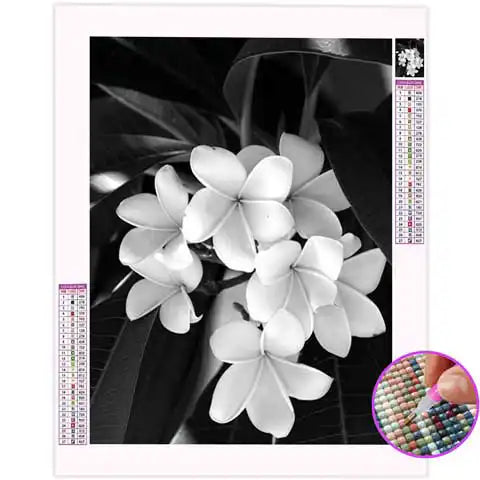 Broderie Diamant Noir et Blanc Fleurs | My Diamond Painting