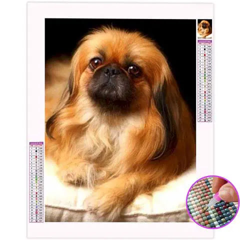 Broderie Diamant Pékinois | My Diamond Painting