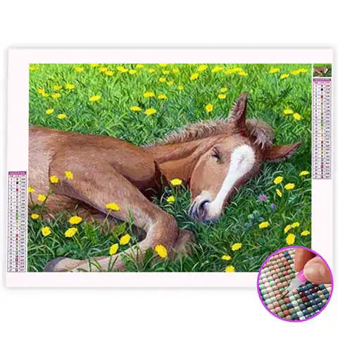 Broderie Diamant Poulain | My Diamond Painting