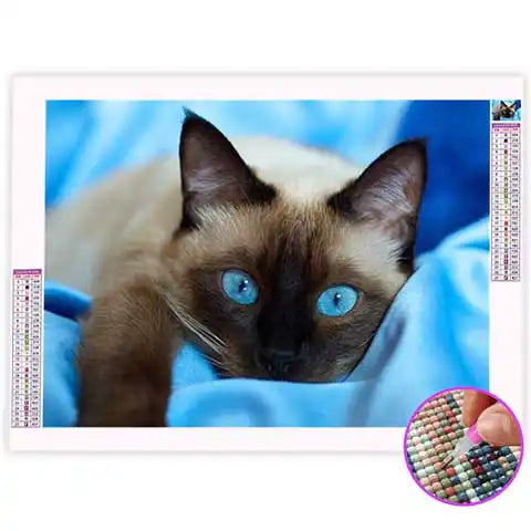 Broderie Diamant Siamois | My Diamond Painting