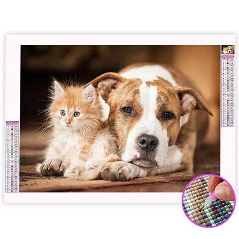 Broderie Diamant Staff | My Diamond Painting