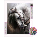 Broderie Diamant Tête de Cheval - Vignette | My Diamond Painting
