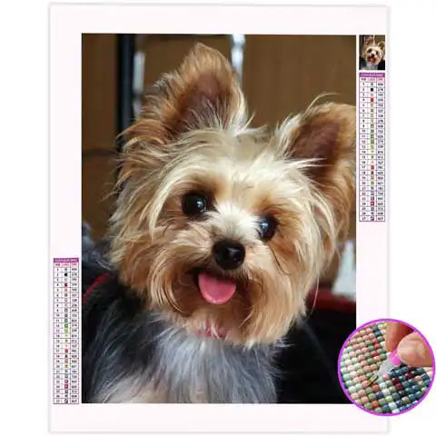 Broderie Diamant Yorkshire | My Diamond Painting