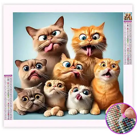 Broderie Diamant Chat Humour