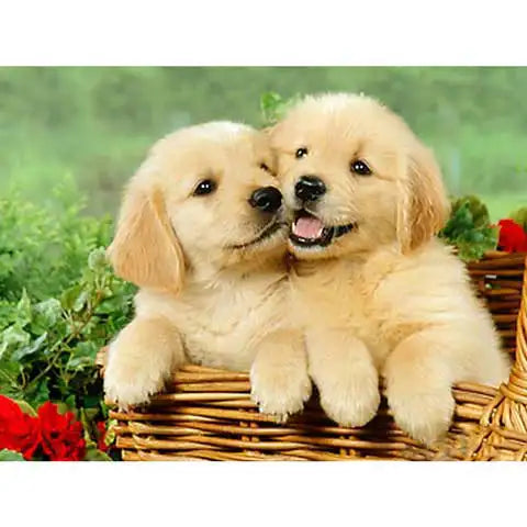 Diamond Painting Bébé Chien | My Diamond Painting