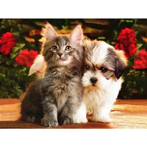 Diamond Painting Bébé Chien et Bébé Chat | My Diamond Painting