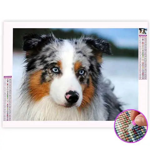 Kit Peinture Diamant 5D 'chien Berger Australien' 90x130 Cm - DIY, Strass, Activité Relaxante Adulte/enfant