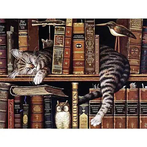 Diamond Painting Bibliothèque Chat | My Diamond Painting