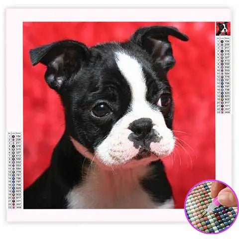 Diamond Painting Boston Terrier | My Diamond Painting