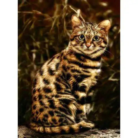 Diamond Painting Chat Bengal | My Diamond Painting