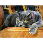 Broderie Diamant Chat Chartreux - Vignette | My Diamond Painting