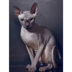 Broderie Diamant Chat Sphynx - Vignette | My Diamond Painting