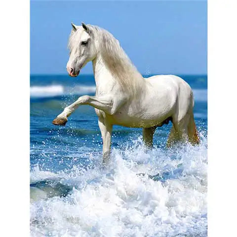 Diamond Painting Cheval Camargue | My Diamond Painting