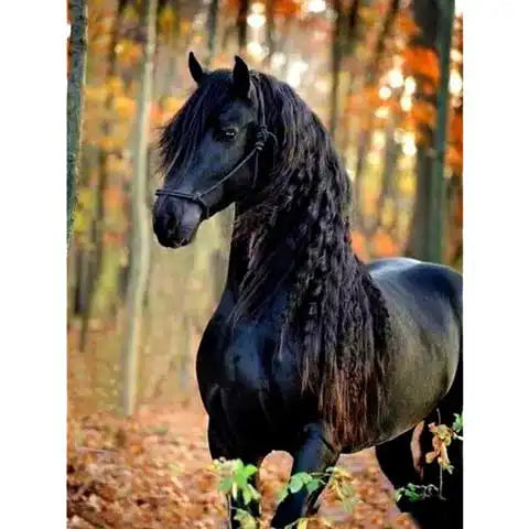 Broderie Diamant Cheval Frison | My Diamond Painting