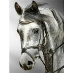 Broderie Diamant Cheval Gris - Vignette | My Diamond Painting