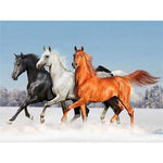 Broderie Diamant Chevaux Noir Blanc Marron - Vignette | My Diamond Painting