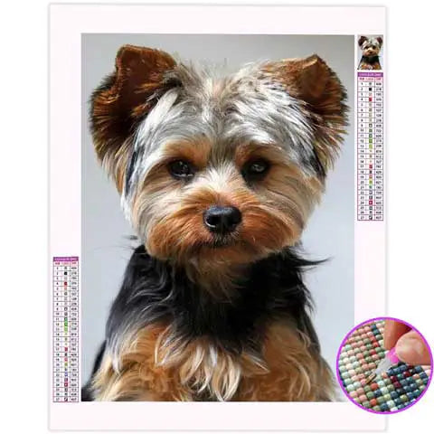 Diamond Painting Chien York | My Diamond Painting