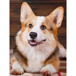 Diamond Painting Corgi | My Diamond Painting