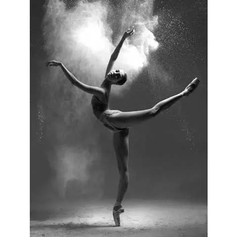 Diamond Painting Danseuse Noir et Blanc | My Diamond Painting