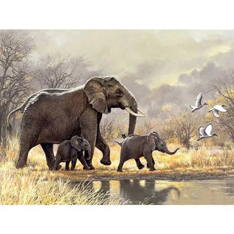 Diamond Painting Éléphant Afrique | My Diamond Painting