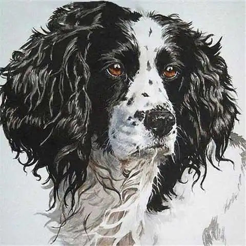 Diamond Painting Épagneul | My Diamond Painting
