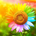 Broderie Diamant Fleur Colorée - Vignette | My Diamond Painting