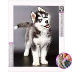 Broderie Diamant Husky - Vignette | My Diamond Painting