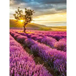 Broderie Diamant Provence - Vignette | My Diamond Painting