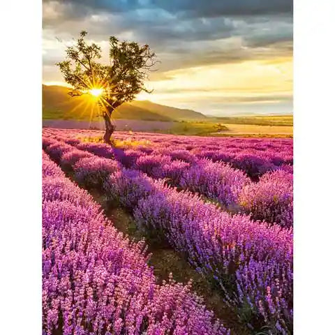 Diamond Painting Provence | My Diamond Painting