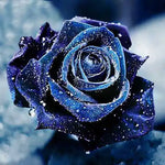 Broderie Diamant Rose Noire - Vignette | My Diamond Painting