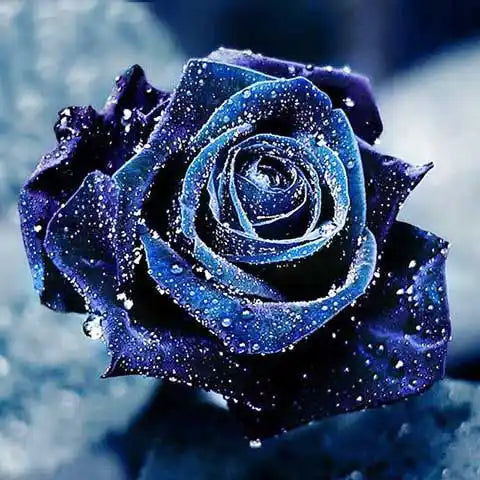 Diamond Painting Rose Noire | My Diamond Painting