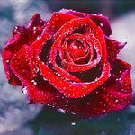 Diamond Painting Rose Rouge | My Diamond Painting