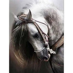 Broderie Diamant Tête de Cheval - Vignette | My Diamond Painting