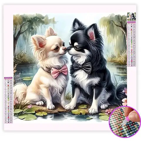 Broderie Diamant Chihuahua