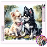 Broderie Diamant Chihuahua