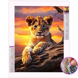 Broderie Diamant Lionceau
