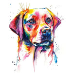 Broderie Diamant Labrador