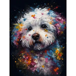 Broderie Diamant Bichon Frisé