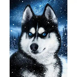 Broderie Diamant Husky Sibérien