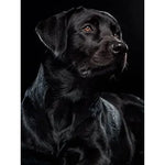 Broderie Diamant Labrador Noir